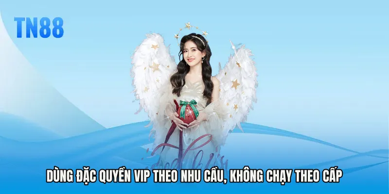 Dùng Đặc quyền VIP theo nhu cầu, không chạy theo cấp