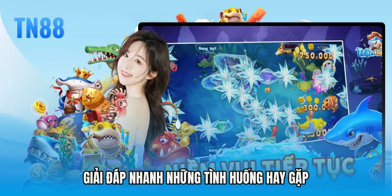 Giải đáp nhanh những tình huống hay gặp