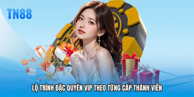 Lộ trình Đặc quyền VIP theo từng cấp thành viên